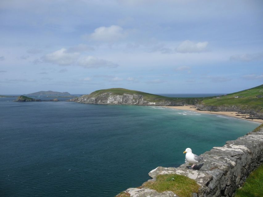From Dublin: 5-Day Tour to the Southwest with Accommodation - B&B nights and the reality of small-town lodging