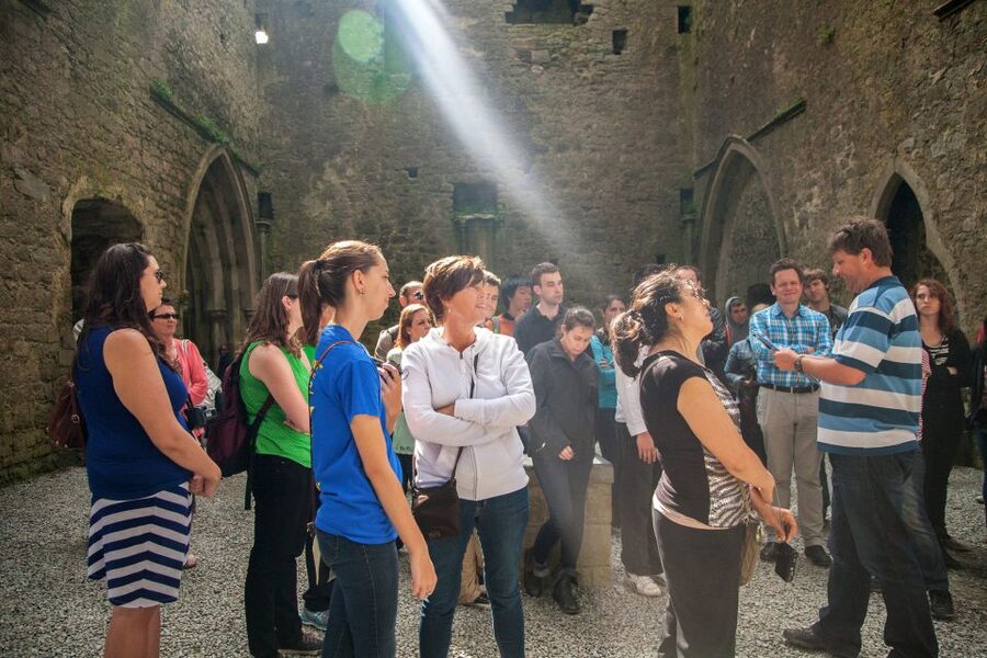 From Dublin: Blarney, Rock of Cashel and Cahir Castles Tour - The guide can make or break a long day
