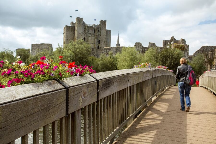 From Dublin: Celtic Boyne Valley and Ancient Sites Tour - The guides make or break the day