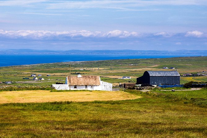 From Dublin: Cliffs of Moher, Bird of Prey & Aillwee Cave - Lunch in Fanore and the Irish pub stop