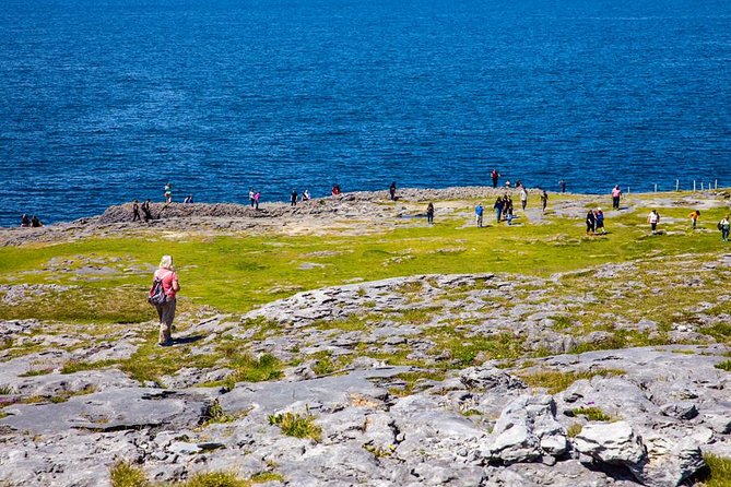 From Dublin: Cliffs of Moher, Bird of Prey & Aillwee Cave - The Cliffs of Moher from the clifftop