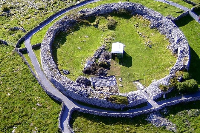 From Dublin: Cliffs of Moher, Bird of Prey & Aillwee Cave - Is $126.15 good value?