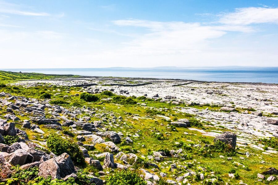 From Dublin: Cliffs of Moher, Burren & Galway City Day Tour - Along the Wild Atlantic Way to Kinvara
