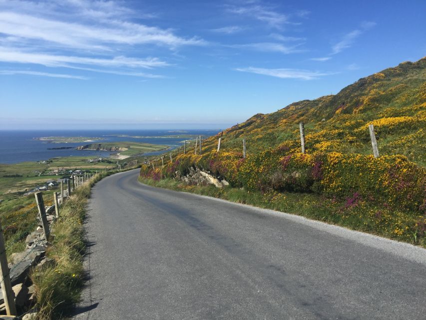 From Dublin: Connemara and Galway Bay Day Tour - Dublin to Galway by train, with an early start