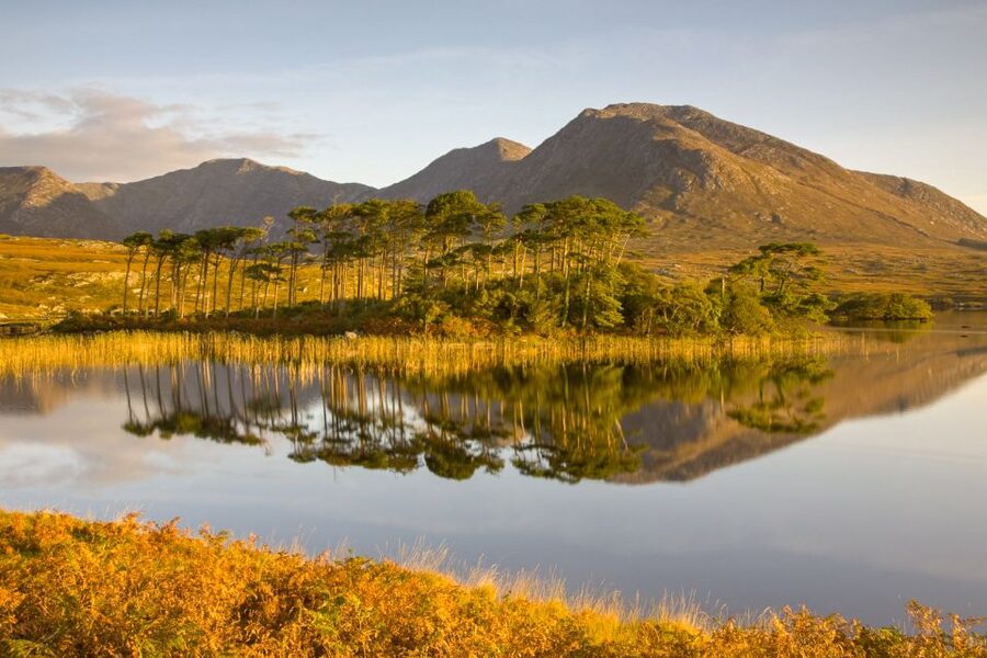 From Dublin: Connemara and Galway Full-Day Tour - Two hours in Galway city