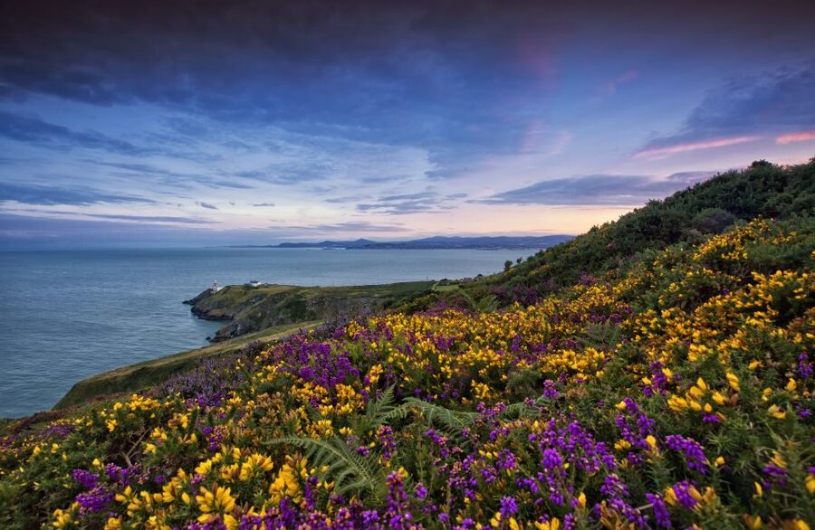 From Dublin: Half-Day Guided Coastal Tour to Howth Village - Why Howth works as a half-day escape
