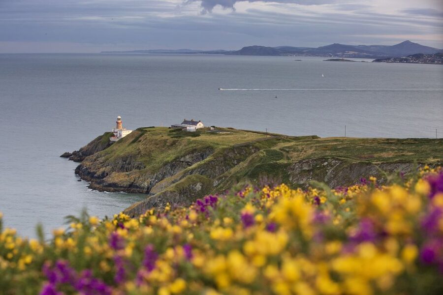 From Dublin: Half-Day Guided Coastal Tour to Howth Village - Howth Summit and the Green Route cliff walk