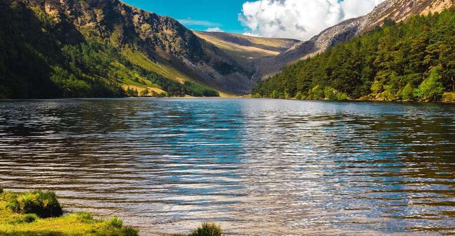 From Dublin: Half-Day Trip to Glendalough and Wicklow - What the guide adds to the outing