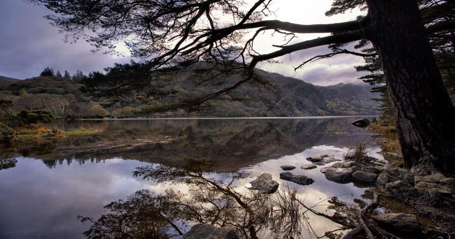 From Dublin: Wicklow Mountains, Glendalough & Kilkenny Tour - Key points at a glance