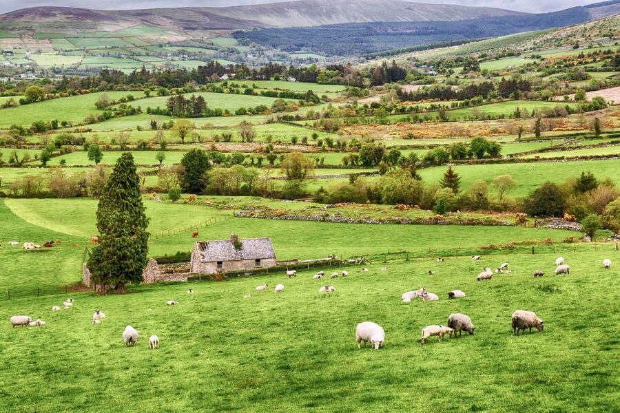 From Dublin: Wicklow Mountains, Glendalough & Kilkenny Tour - Should you book the Wicklow and Kilkenny tour?