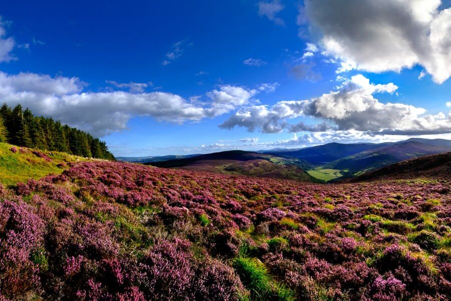 From Dublin: Wicklow Mountains, Glendalough & Kilkenny Tour - Why this Dublin day trip works