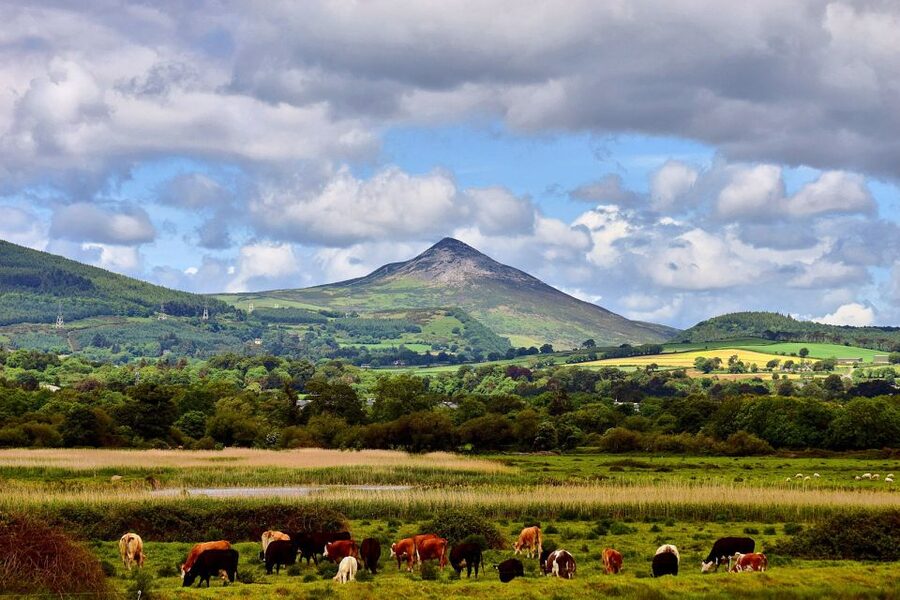 From Dublin: Wicklow Mountains, Glendalough & Kilkenny Tour - Timing, walking, and the real value of the day