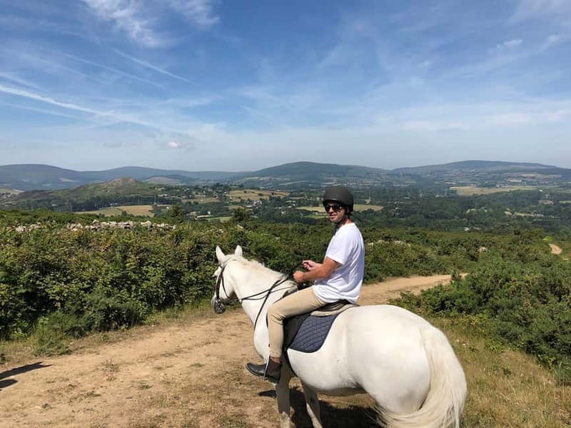 From Dublin: Wicklow, Powerscourt, and Glendalough Day Tour - Enniskerry gives you a practical lunch break