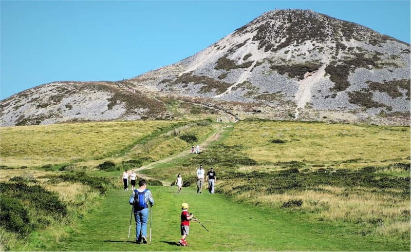 From Dublin: Wicklow, Powerscourt, and Glendalough Day Tour - What makes the guiding worth paying for