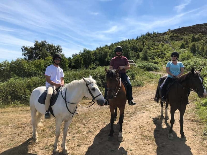 From Dublin: Wicklow, Powerscourt, and Glendalough Day Tour - Who should book this tour?