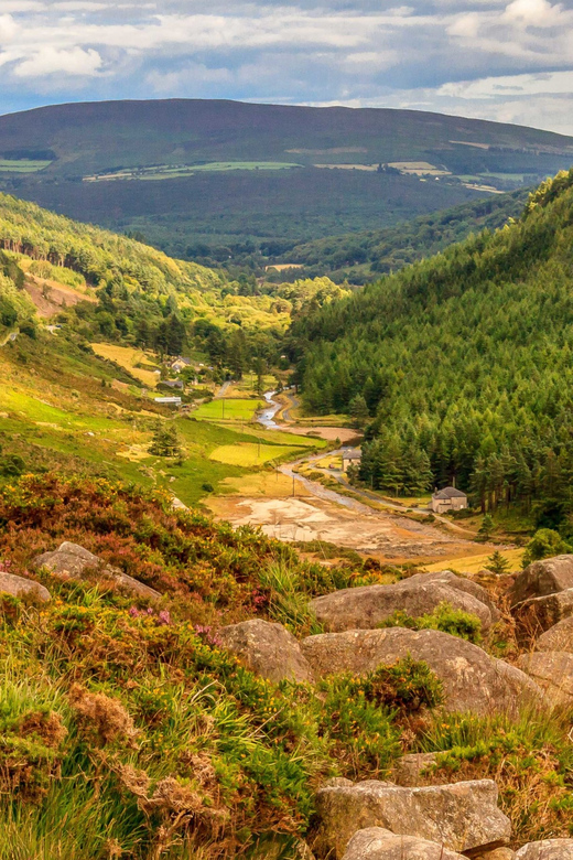 From Dublin: Wild Wicklow Mountains and Glendalough Tour - Why this Wicklow day trip works