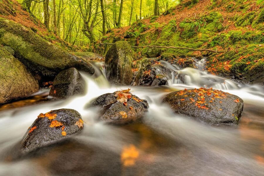 From Dublin: Wild Wicklow Mountains and Glendalough Tour - Avoca adds coffee, crafts, and a useful pause