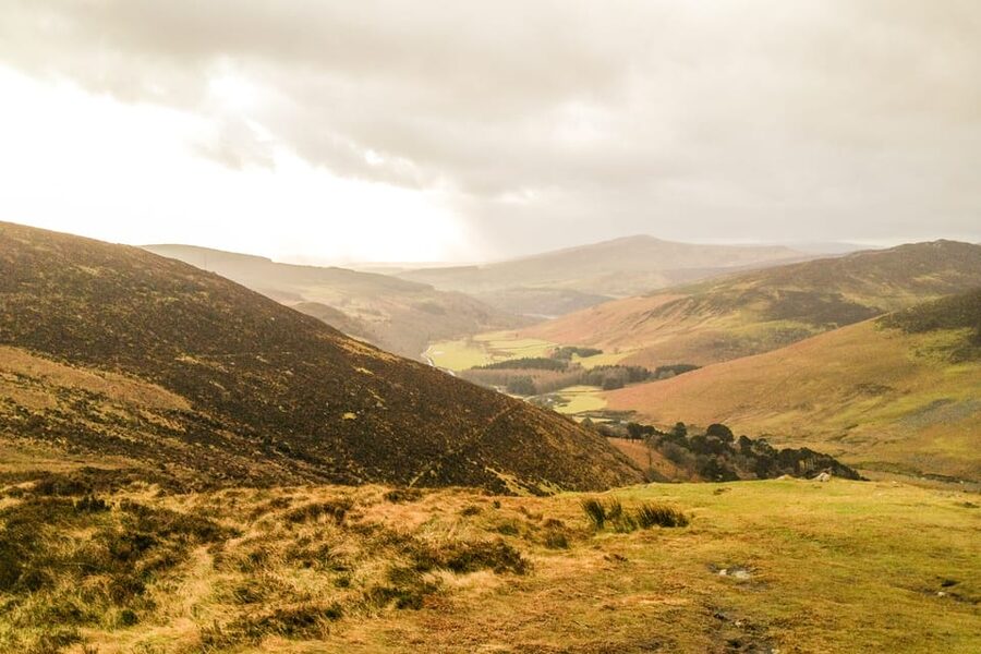 From Dublin: Wild Wicklow Mountains and Glendalough Tour - Lunch at Lynhams of Laragh