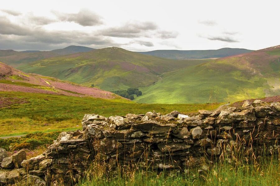 From Dublin: Wild Wicklow Mountains and Glendalough Tour - Glendalough combines ruins with peaceful lakes