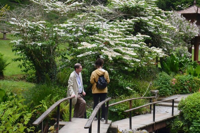Full Day Private Wicklow Tour - What the $903.08 price really buys