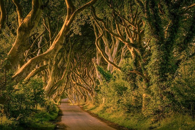Giant Causeway, Dark Hedges & Whiskey Distillery tour from Dublin - Dunluce Castle gives the morning a dramatic opening