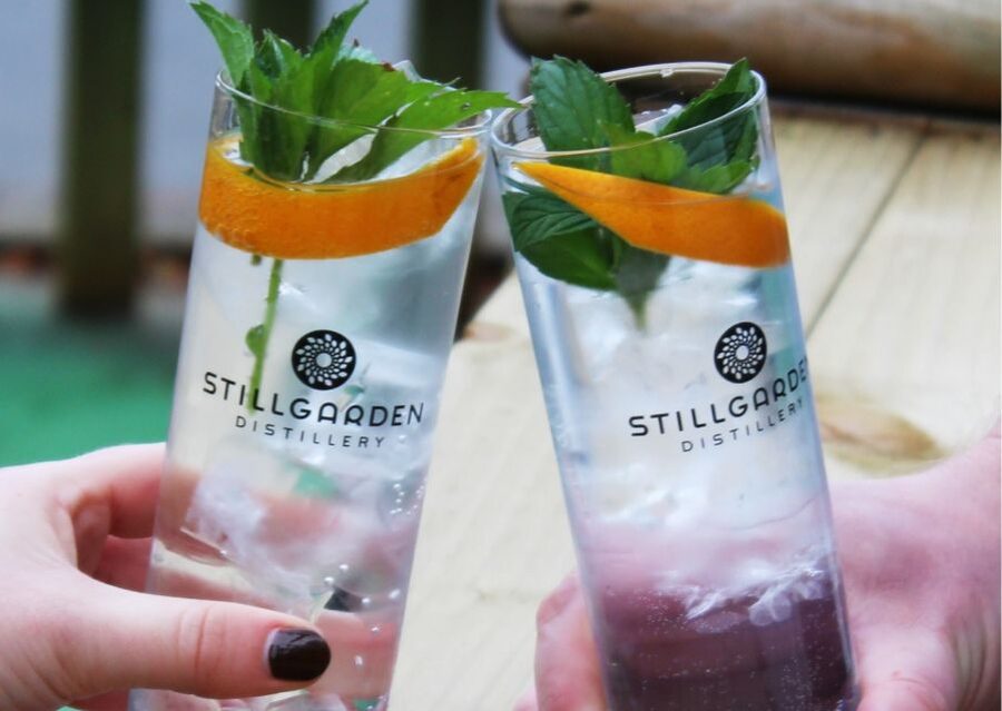 Gin School, distill you own gin, cocktails, tastings, food - Learning the role of botanicals