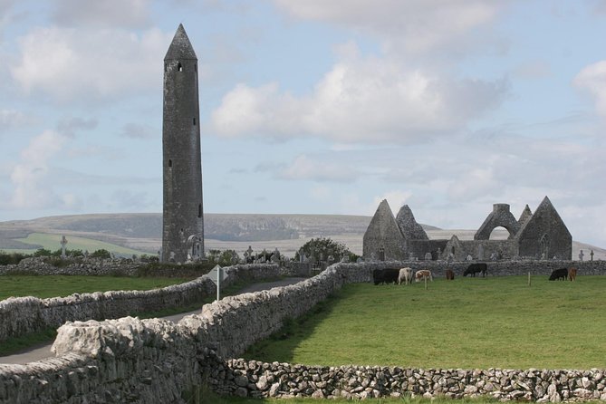 Glendalough and Dublin City Excursion - Ship to shore - Is $96.12 a fair price?