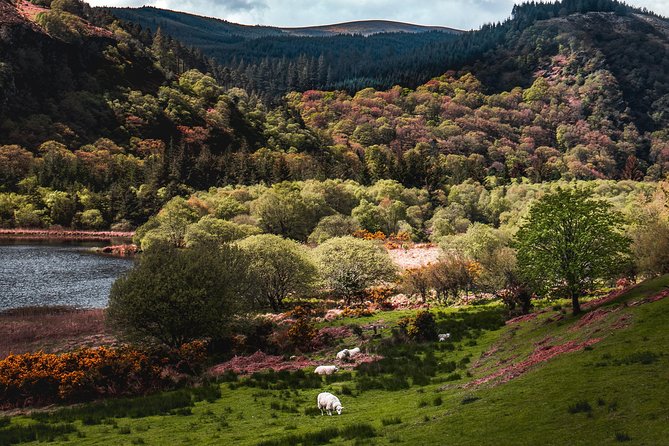 Glendalough Day Tour from Dublin: Including Kilkenny City - Two hours in medieval Kilkenny