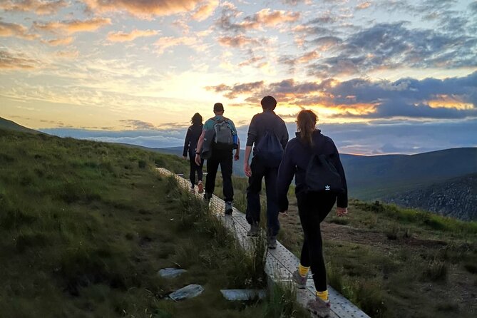 Glendalough Night Hike and History Tour - Watching for Sika deer and other wildlife