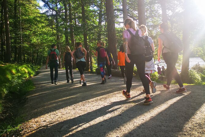 Glendalough Night Hike and History Tour - Stargazing to finish the evening