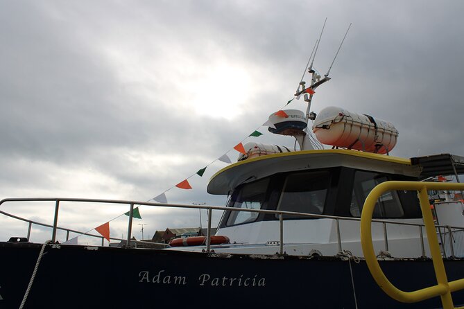 Howth Cliffs and Ireland's Eye Ferry Boat Tour - Comfort, safety, and family appeal