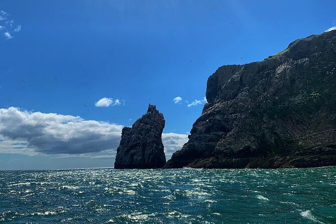 Howth Cliffs and Ireland's Eye Ferry Boat Tour - Price and the question of value