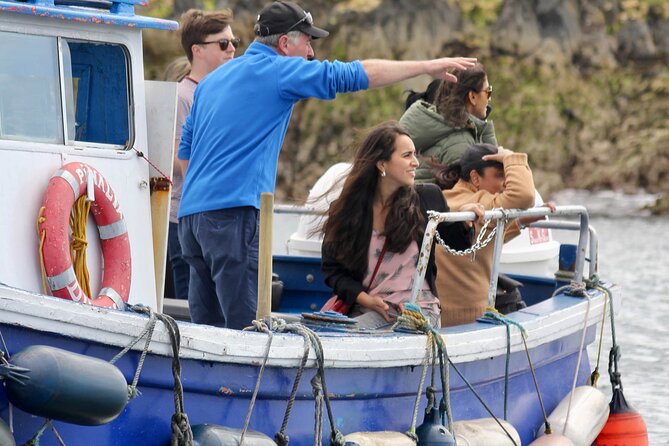 Howth Coastal Boat Tour (Ireland's Eye Ferries 50 mins trip) - Why Ireland’s Eye makes this boat ride special