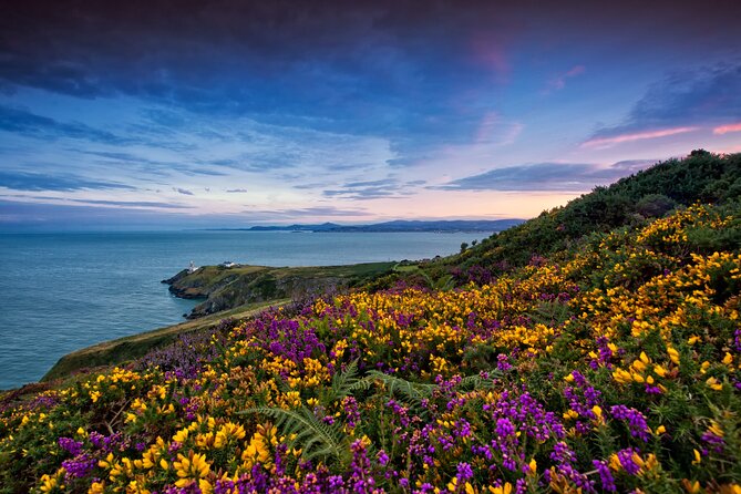 Howth Coastal Half-Day Bus Tour from Dublin with Live Guide - The ride from O’Connell Street to Howth Summit