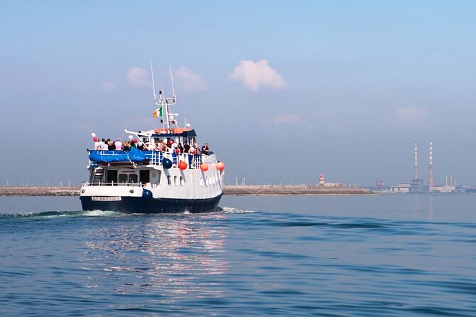 Howth - Howth Cliffs & Ireland's Eye 1 hour Tour - Ireland’s Eye and the wildlife view