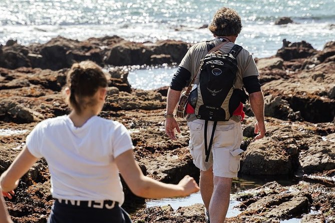 Howth Safari Hiking Tour - What the guides add to the walk