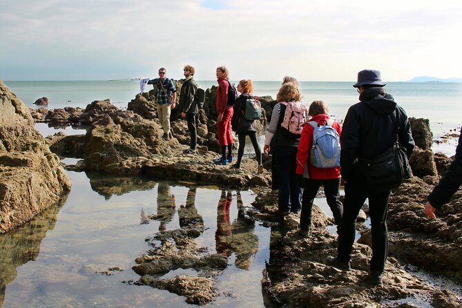 Howth Safari Hiking Tour - Across the Bog of the Frogs and Shielmartin Hill