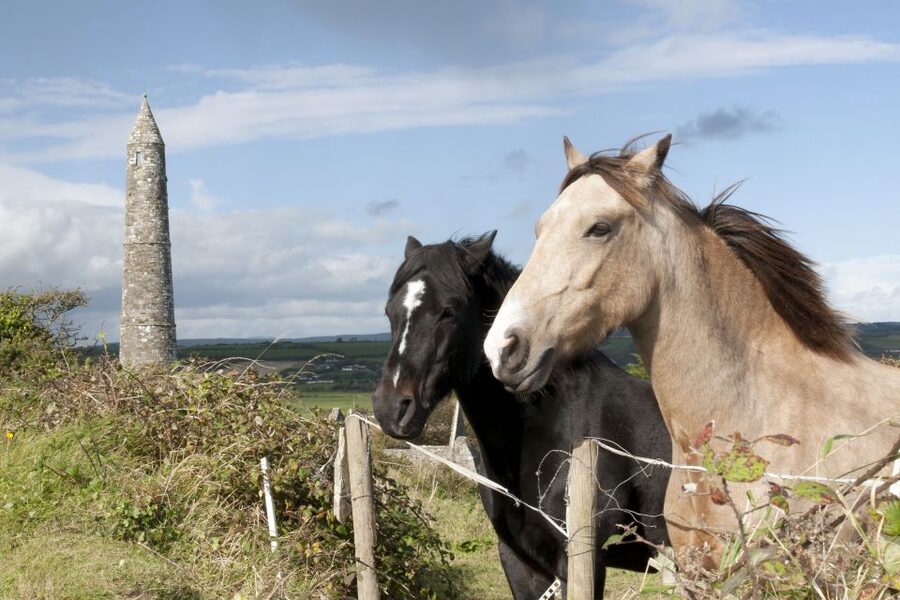 Ireland: Blarney Castle, Kilkenny & Irish Whiskey 3-Day Tour - The small-group setup and daily pace
