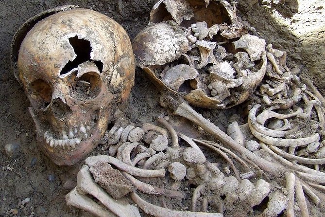 Irish Famine Museum / Exhibition Dublin - A serious subject in an easy central location