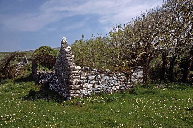 Irish Famine Museum / Exhibition Dublin - Why the political context matters