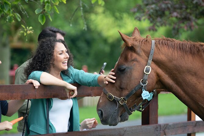 Irish National Stud & Gardens Skip the line Entrance - Why this horse farm makes a strong Dublin side trip