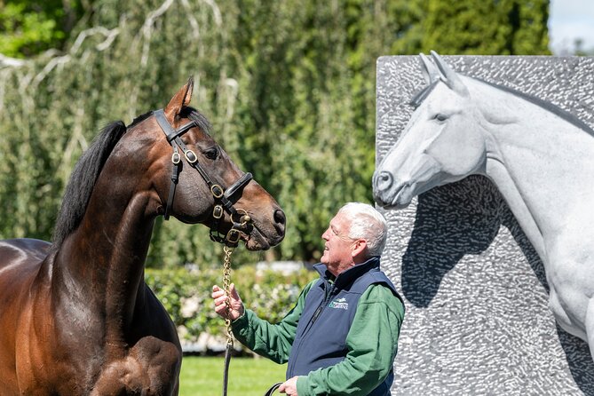 Irish National Stud & Gardens Skip the line Entrance - St Fiachra’s Garden adds an Irish counterpoint