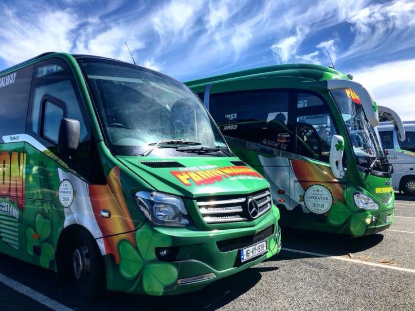 Kerry: Full-Day Tour from Dublin - Killarney National Park and the Lakes