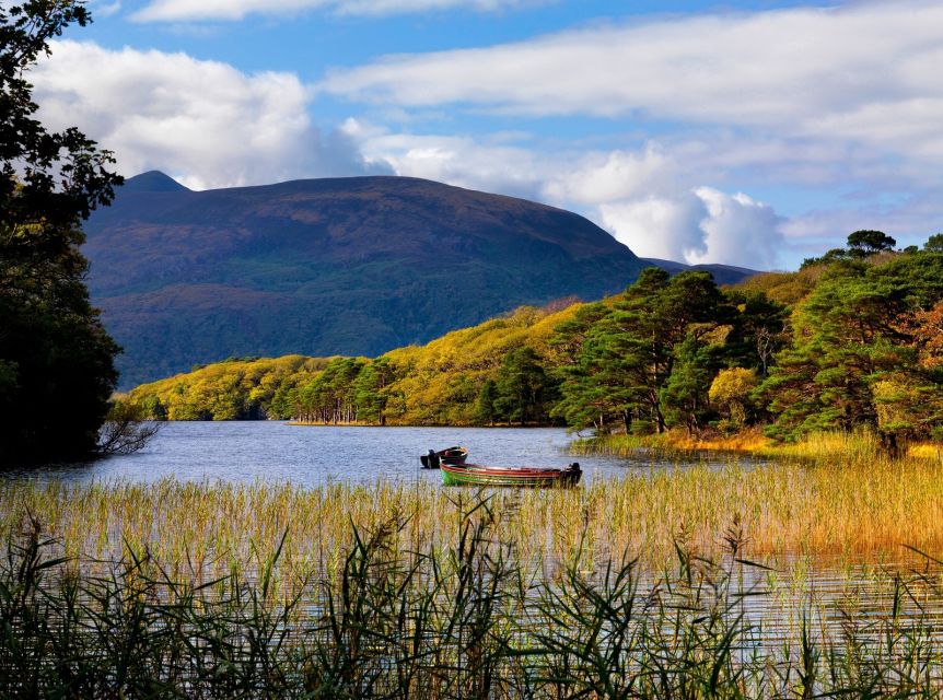 Kerry: Full-Day Tour from Dublin - Killorglin and the story of the Puck Fair