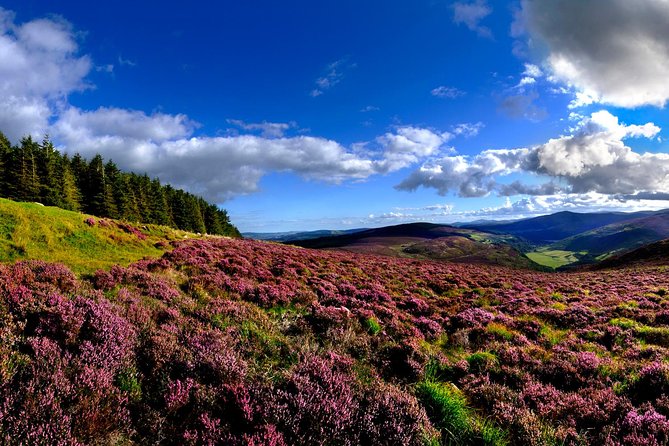 Kilkenny, Wicklow Mountains & Glendalough Day Tour from Dublin - Glendalough: ruins, lakes, and St. Kevin
