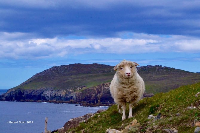Luxury 'Luck of the Irish' Tour - 4 Day Tour - Day three: the Ring of Kerry and the Skellig coast