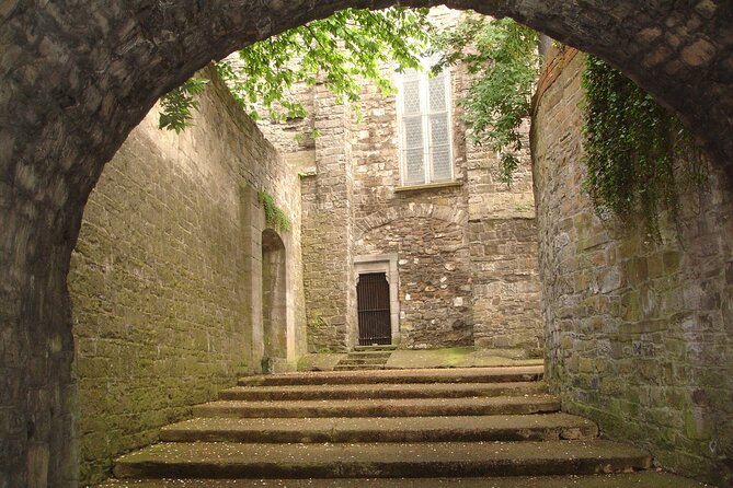 Medieval Dublin Walking Private Guided Tour - Christ Church Cathedral and the growth of Christianity
