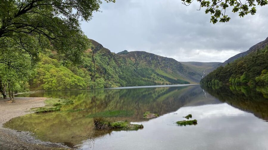 Personal Tour from Dublin: Wicklow, Glendalough, Powerscourt - Guides, stories, and the value of flexibility