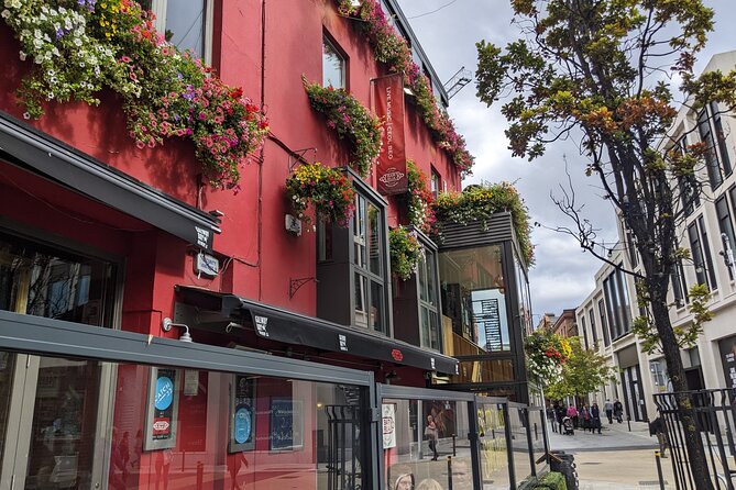 Private Guided Tour of Dublin in French - Temple Bar, music, and the famous pub district