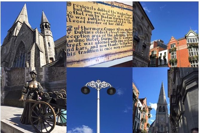 Private (Nearly!) All of Dublin in 5 hours (Walking Tour) - Starting at Trinity College and choosing your first major sight